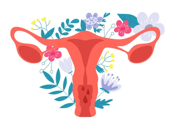Γυναικείο αναπαραγωγικό σύστημα με λουλούδια. — Διανυσματικό Αρχείο