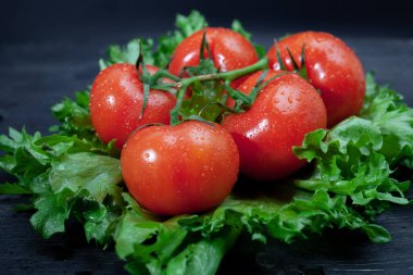 Arka planda salatalı ıslak domatesler