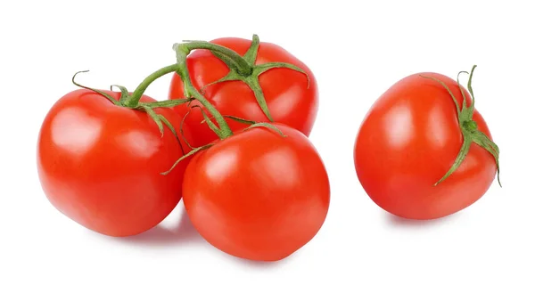 Tomates Sur Une Branche Isolées Sur Fond Blanc — Photo