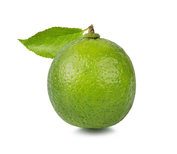 Citronové Vápno Izolované Bílém Pozadí — Stock fotografie