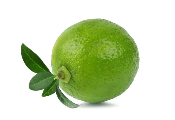 Beyaz Arkaplanda Yapraklı Limon — Stok fotoğraf
