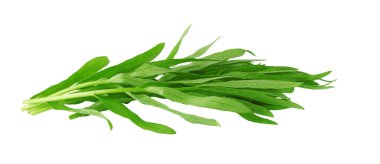 Tarhun otu, tarhun yaprağı, tüy, beyaz bir arka planda izole edilmiş.