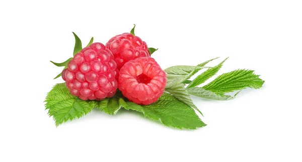 Raspberry Pada Daun Tiga Potong Terisolasi Pada Latar Belakang Putih Stok Foto Bebas Royalti