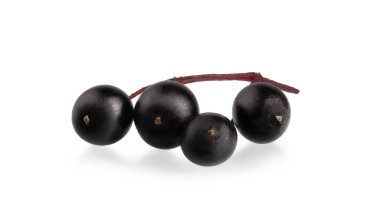 Mürver çileği, makro, beyaz arka planda izole edilmiş..