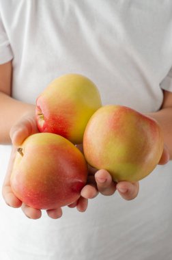 Beyaz elbiseli bir çocuk ellerinde olgun, sulu sarı-kırmızı elmalar tutuyor..