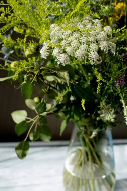 Koyu arkaplana karşı cam bir vazoda beyaz-yeşil tonlarda bir yaz buketinin bulanık görüntüsü. Fotoğraf: Bokeh efektli.
