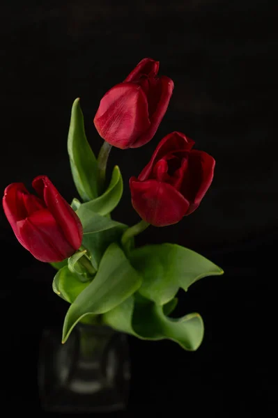 บนพ นหล ภาพเบลอของดอกท แดงในแจก นแก ปภาพท ผลกระทบ Bokeh รูปภาพสต็อกที่ปลอดค่าลิขสิทธิ์