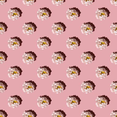 Pembe arka planda kusursuz pembe şakayık deseni. Yukarıdan görüntüle.