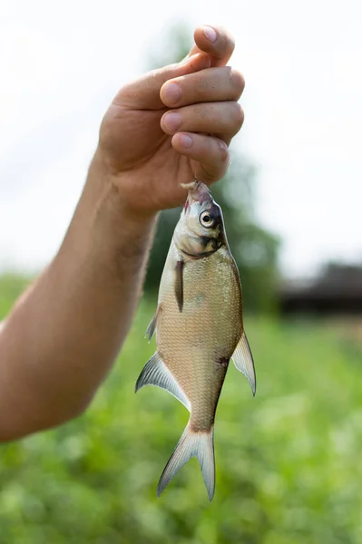 Uma Imagem Turva Peixe Uma Linha Pesca Mão Pescador — Fotografia de Stock