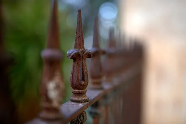 Detail Top Crown Old Rusty Fence Green Palm Trees Background — Stock Photo, Image