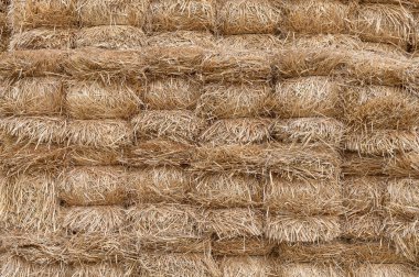 Çiftlikte biriken saman balyalarının ayrıntıları