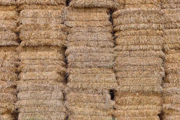 堆放在农场上的稻草包的详细情况 — 图库照片