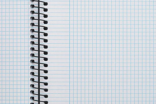 Detail Blue Checkered Notepad Black Worm — Stock Photo, Image