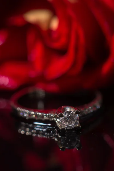 Weißgold Diamantring in roter Rose Nahaufnahme mit Wassertropfen — Stockfoto