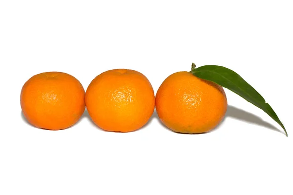 Tangerinas maduras com folhas isoladas sobre fundo branco — Fotografia de Stock