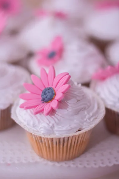 Heerlijke zoete buffet met cupcakes. Zoete vakantie buffet met cupcakes en andere desserts. — Stockfoto