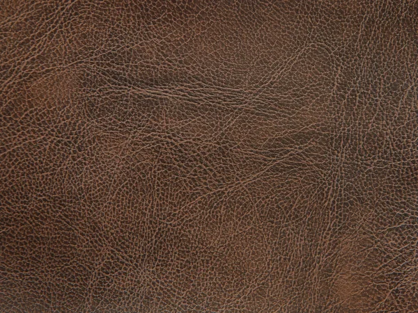 Oryginalna skóra tekstura naturalny wzór. Kolor brązowy — Zdjęcie stockowe