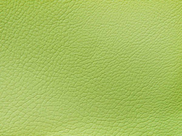 Texture en cuir véritable motif naturel. Couleur verte — Photo