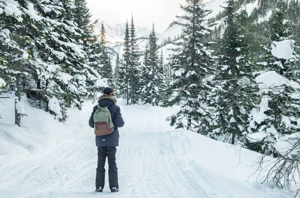 Caminata Turística Por Carretera Invierno Naturaleza —  Fotos de Stock