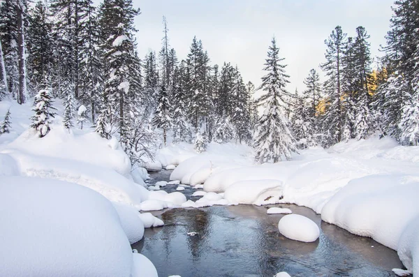 メリークリスマスとコピースペースで新年の挨拶の背景 雪に覆われた木々と美しい冬の風景 — ストック写真