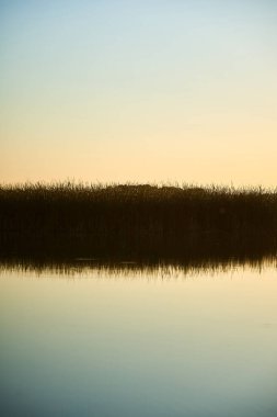 Kırsal kesimde günbatımında mavi nehir ve gökyüzünün dikey fotoğrafı                               