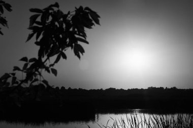Nehrin üzerinde batan güneşin siyah beyaz silueti ve ön planda ağaç dalları.