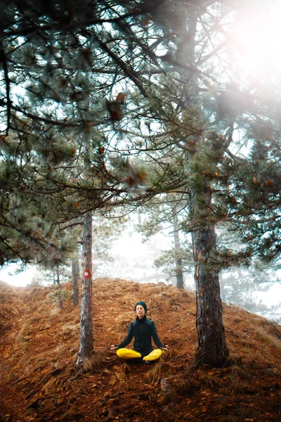 Meditál Jógázik Gyönyörű Fenyőerdőben — Stock Fotó