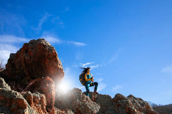 Hermoso Día Soleado Desierto — Foto de Stock