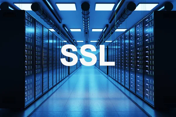 ssl logo in large data center with multiple rows of network internet server racks, 3D Illustration