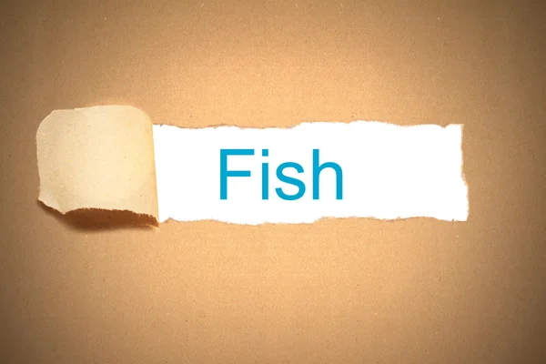 मासे प्रकट करण्यासाठी तपकिरी कागद फाटलेला — स्टॉक फोटो, इमेज