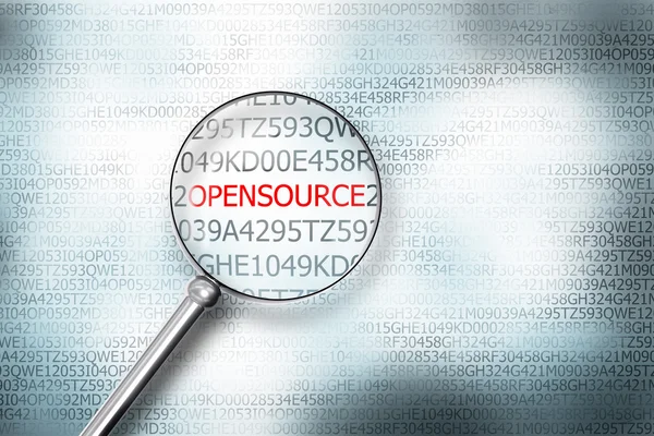 Reading the word opensource on computer screen with a magnifying — Stock Photo, Image