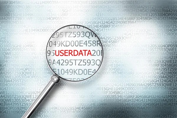 Reading the word userdata on computer screen with a magnifying g — Stock Photo, Image