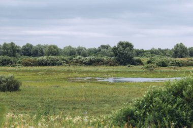 Yağmurdan önce göl manzarası. Koyu gökyüzü ve taze yeşil tarla ve çalılar