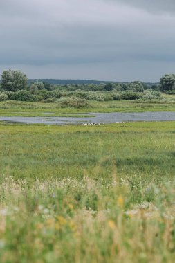 Yağmurdan önce göl manzarası. Koyu gökyüzü ve taze yeşil tarla ve çalılar.