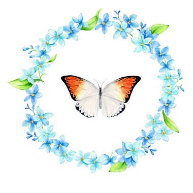 Elle çizilmiş suluboya yaz çiçekleri. 