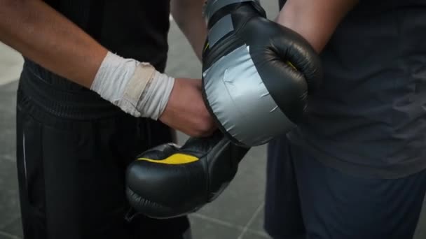 Trainer puts on boxing gloves for sparring in boxing. Sports, discipline, motivation — Stock Video