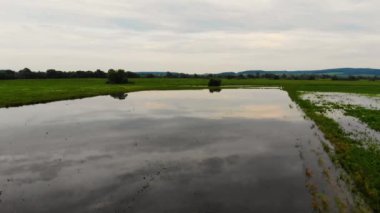 Bir çiftçi tarlasında bir dronu kontrol eder. Su basmış bir tarlanın üzerinde uçmak ve hasat kaybı. Yoksulluk çağı