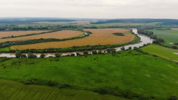 Voo de drones sobre o rio Dniester inundado. Aquecimento global — Vídeo de Stock