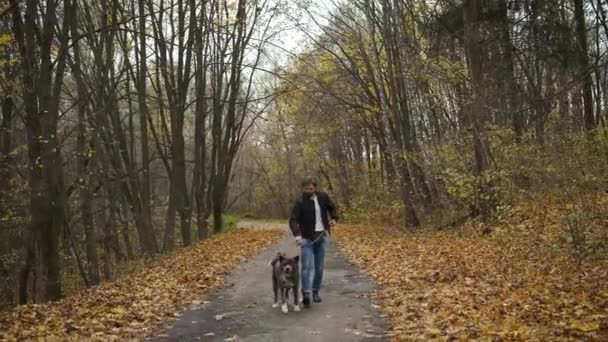 Brutal brunette walking a dog in the autumn park. Self-isolation in nature during an epidemic — Stock Video