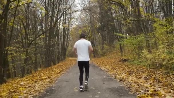 Mladý vousatý muž běží do parku a poslouchá hudbu. Sport a zdraví v podzimním parku — Stock video
