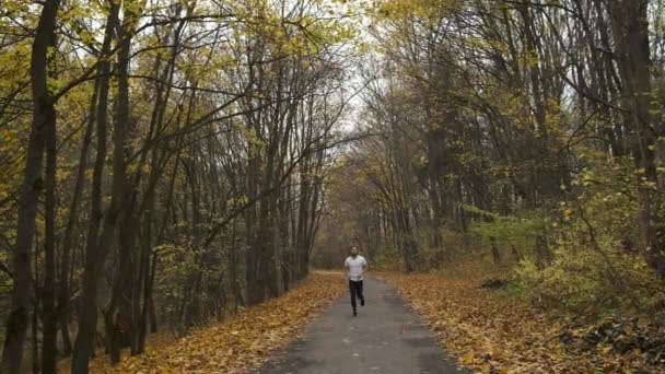 Een jonge man met een baard rent het park in en luistert naar muziek. Sport en gezondheid in het najaarspark — Stockvideo