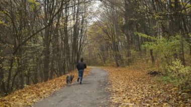 Sonbahar parkında köpeğini gezdiren beyaz bir adam ormanda onunla koşup fiziksel aktiviteleri destekliyor.