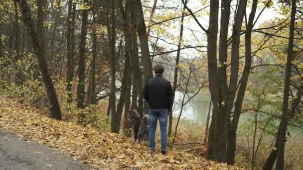 Homem caucasiano passeando um cão no parque de outono e olhando para o lago. Depressão e solidão no outono — Vídeo de Stock