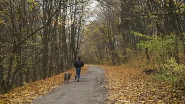 Uomo caucasico che porta a spasso un cane in un parco autunnale che corre con lui attraverso i boschi sostenendo l'attività fisica — Video Stock