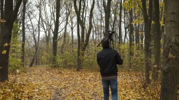 Ontvangen fotograaf wandelend in het herfstbos met een camera en natuurlandschappen van de gouden herfst fotograferend — Stockvideo