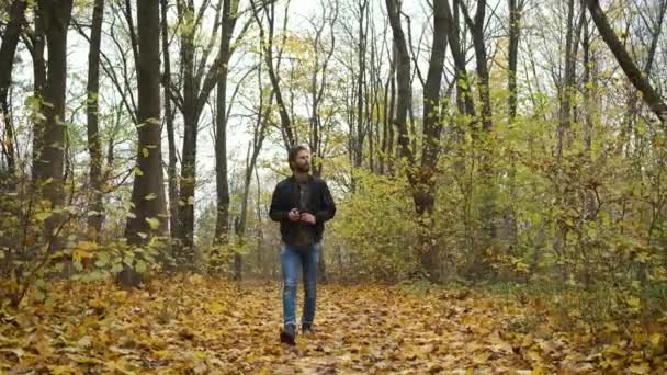 Koncipovaný fotograf kráčející v podzimním lese s fotoaparátem a fotografující krajiny přírody zlatého podzimu — Stock video