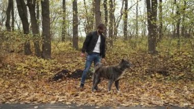 Sonbahar parkında köpeği gezdiren vahşi esmer. Bir salgın sırasında doğada kendini soyutlama