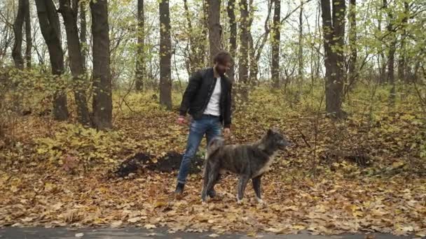 Жорстока брюнетка гуляє собаку в осінньому парку. Самоізоляція в природі під час епідемії — стокове відео