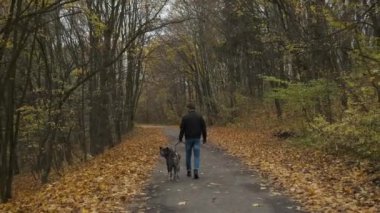 Sonbahar parkında köpeği gezdiren vahşi esmer. Bir salgın sırasında doğada kendini soyutlama