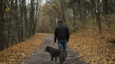 Sonbahar parkında köpeği gezdiren beyaz bir adam. Köpeği sev ve ona bak.